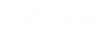 Walt Disney Acadamy Agency